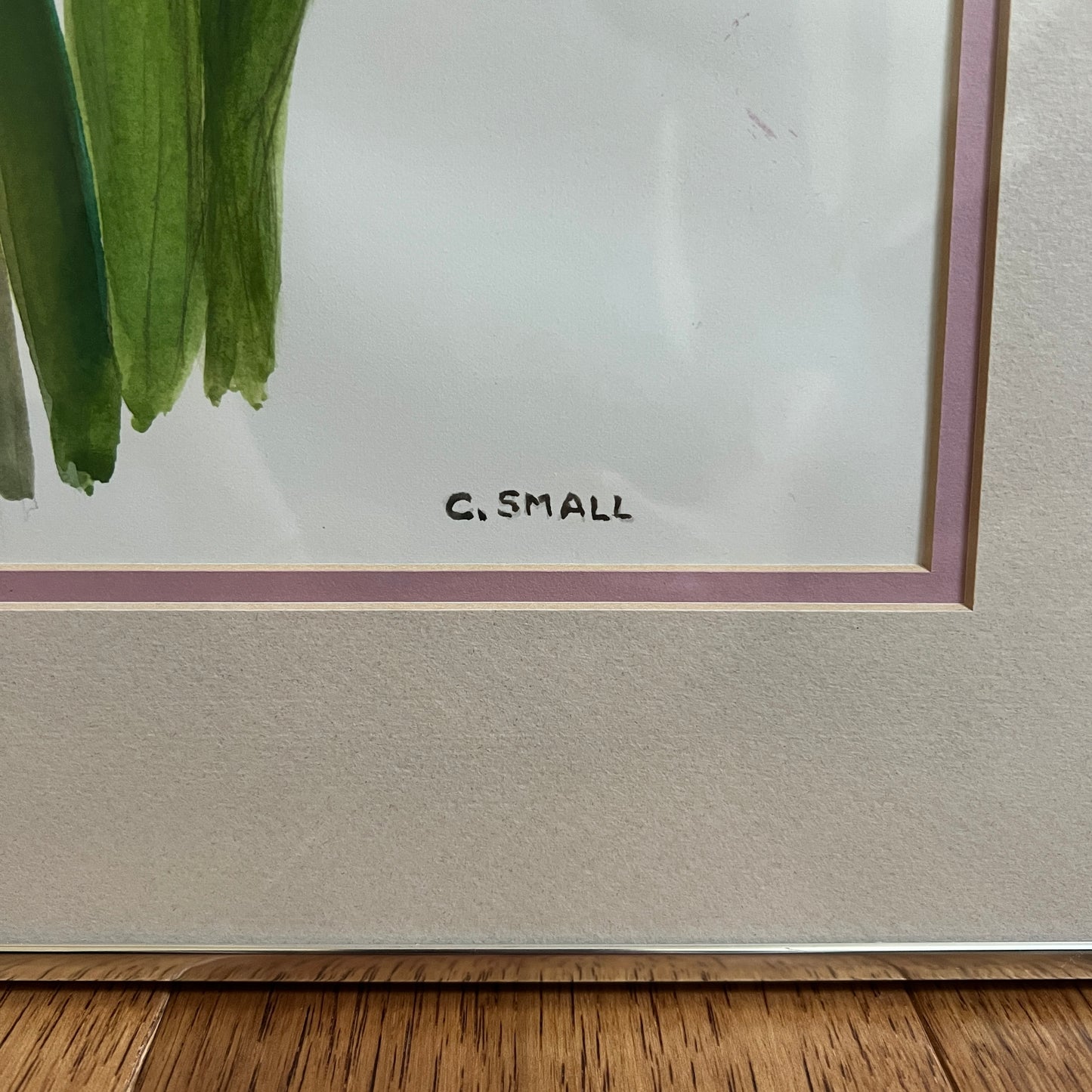 Framed & Signed Iris Watercolor by C. Small