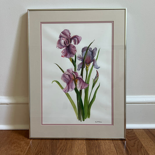 Framed & Signed Iris Watercolor by C. Small