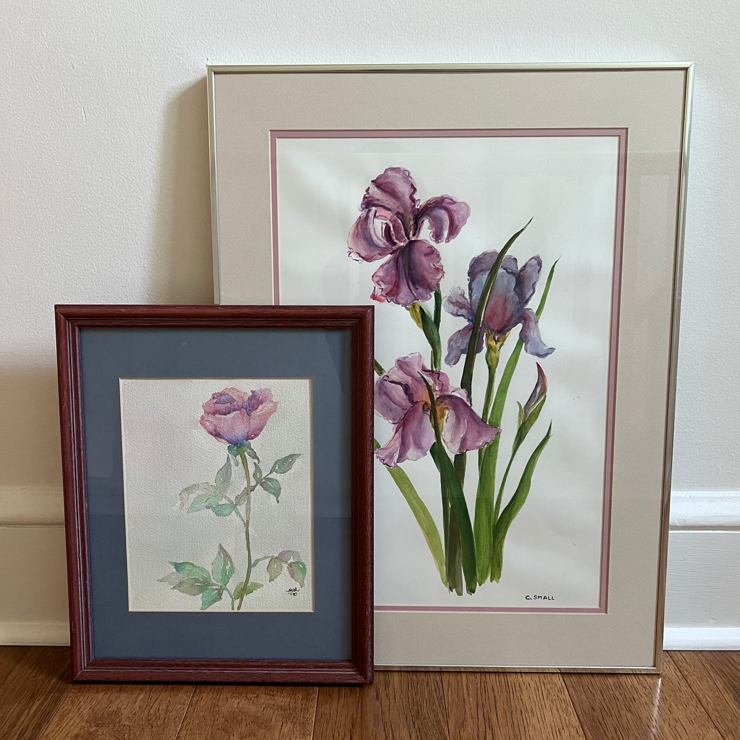 Framed & Signed Iris Watercolor by C. Small