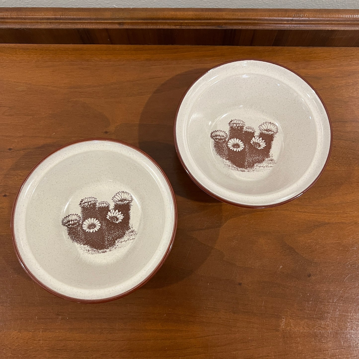 Set of 2 Vintage 1970s/1980s Noritake Stoneware Desert Flowers Cereal Bowls