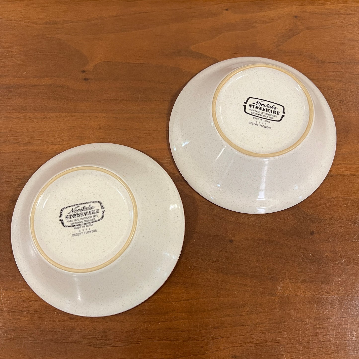 Set of 2 Vintage 1970s/1980s Noritake Stoneware Desert Flowers Cereal Bowls