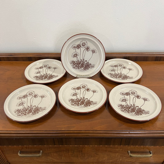 Set of 6 Vintage 1970s/1980s Noritake Stoneware Desert Flowers Salad Plates