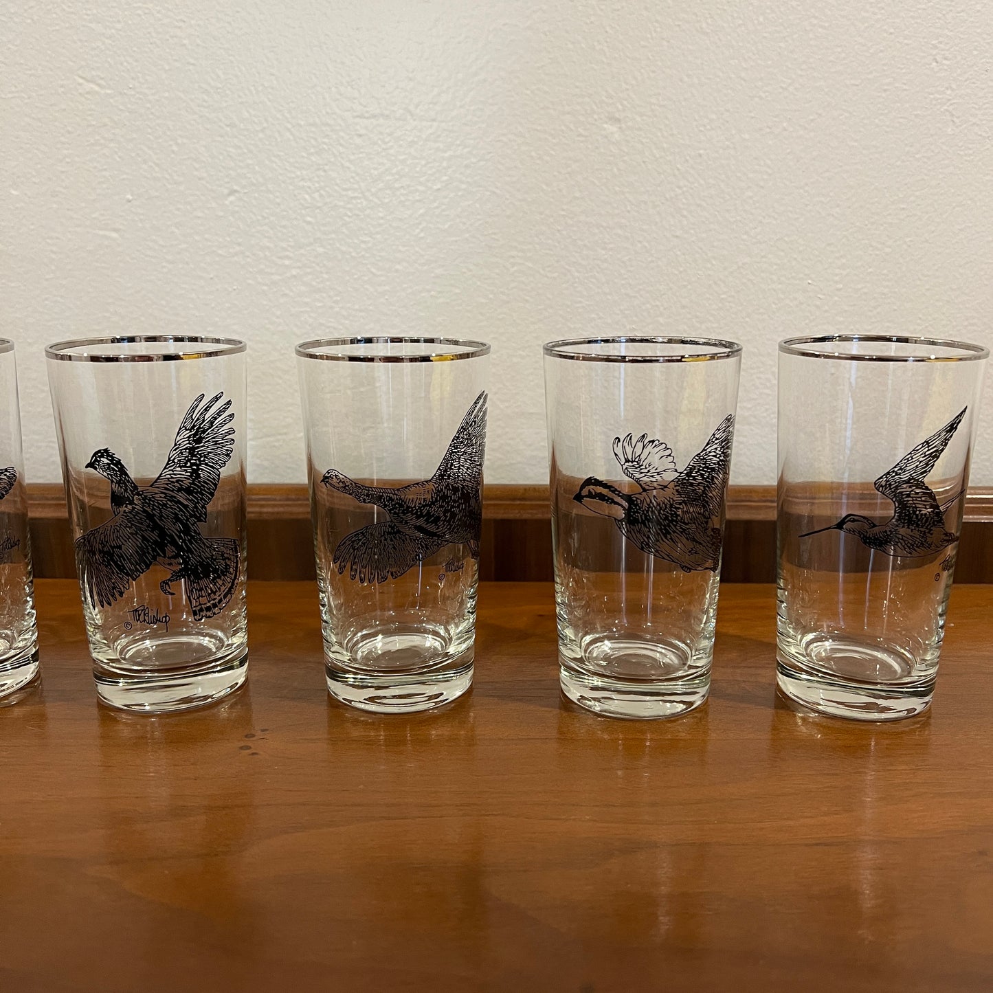 Set of 8 Vintage 1950s Castleton Wild Game Birds Silver Rim Collins Glasses