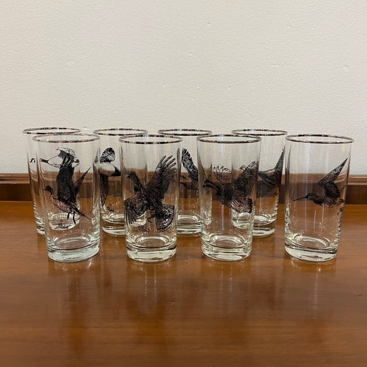 Set of 8 Vintage 1950s Castleton Wild Game Birds Silver Rim Collins Glasses