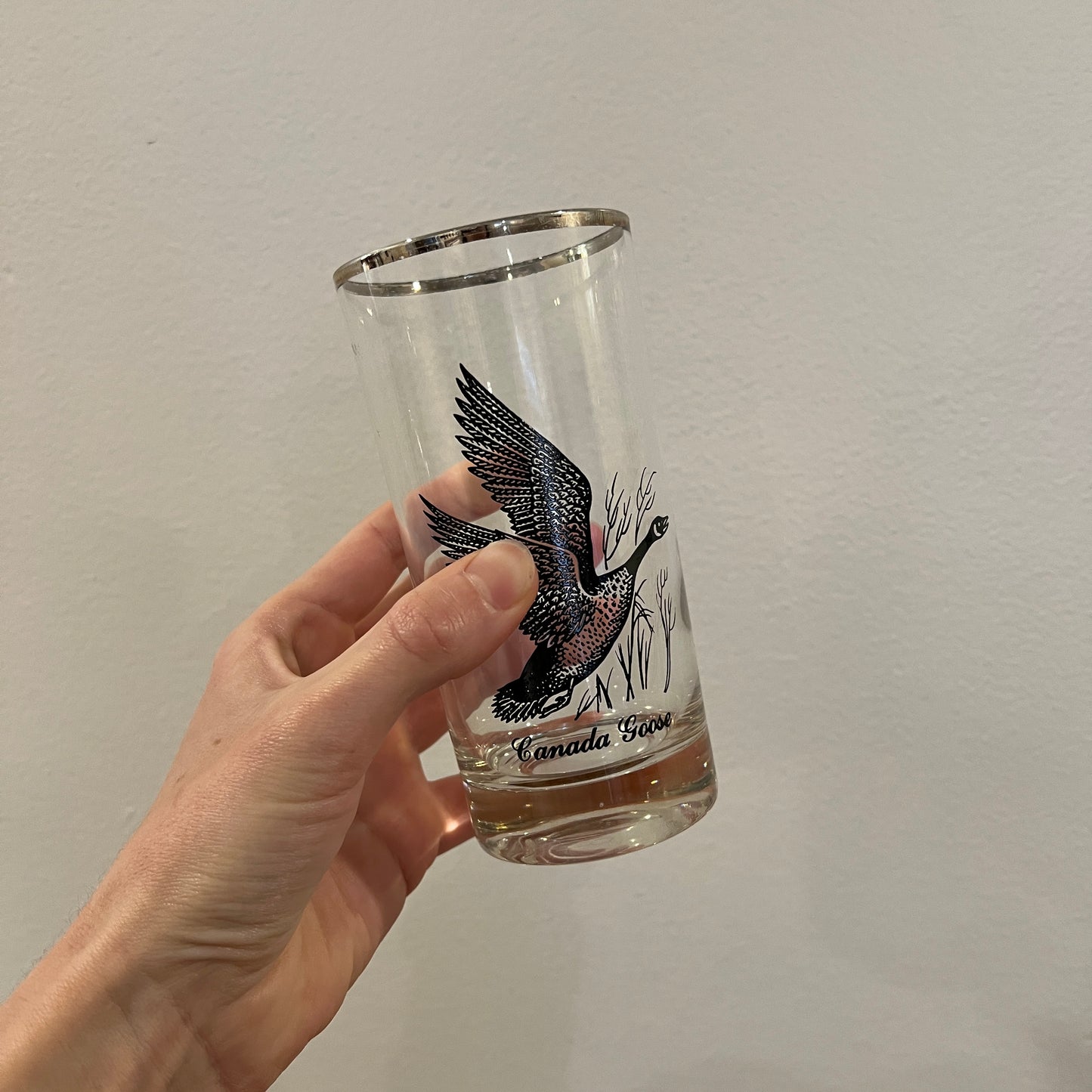 Set of 3 Vintage 1950s/1960s Federal Glass Sportsman Flat Tumbler Glasses
