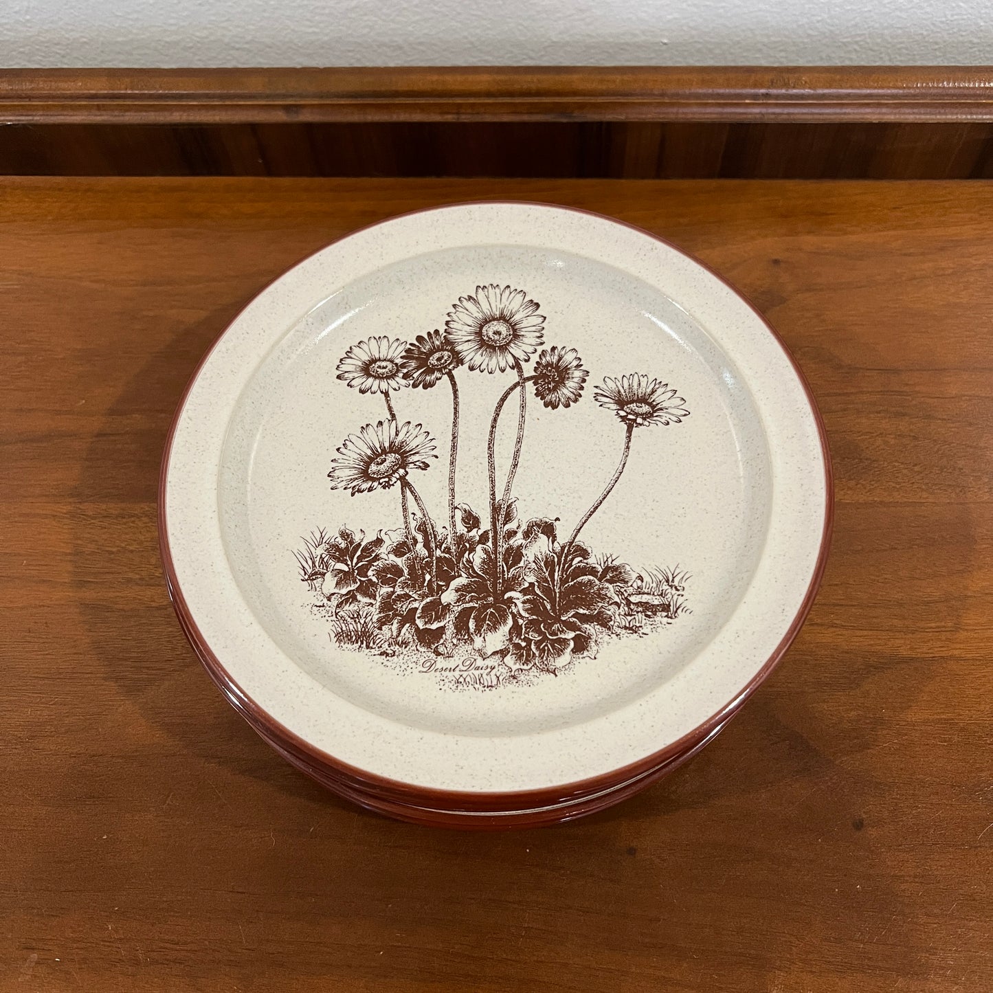 Set of 6 Vintage 1970s/1980s Noritake Stoneware Desert Flowers Salad Plates